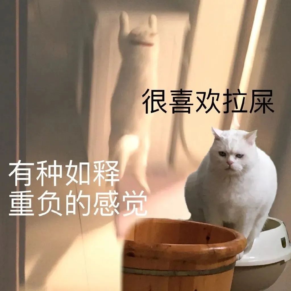 DƬ